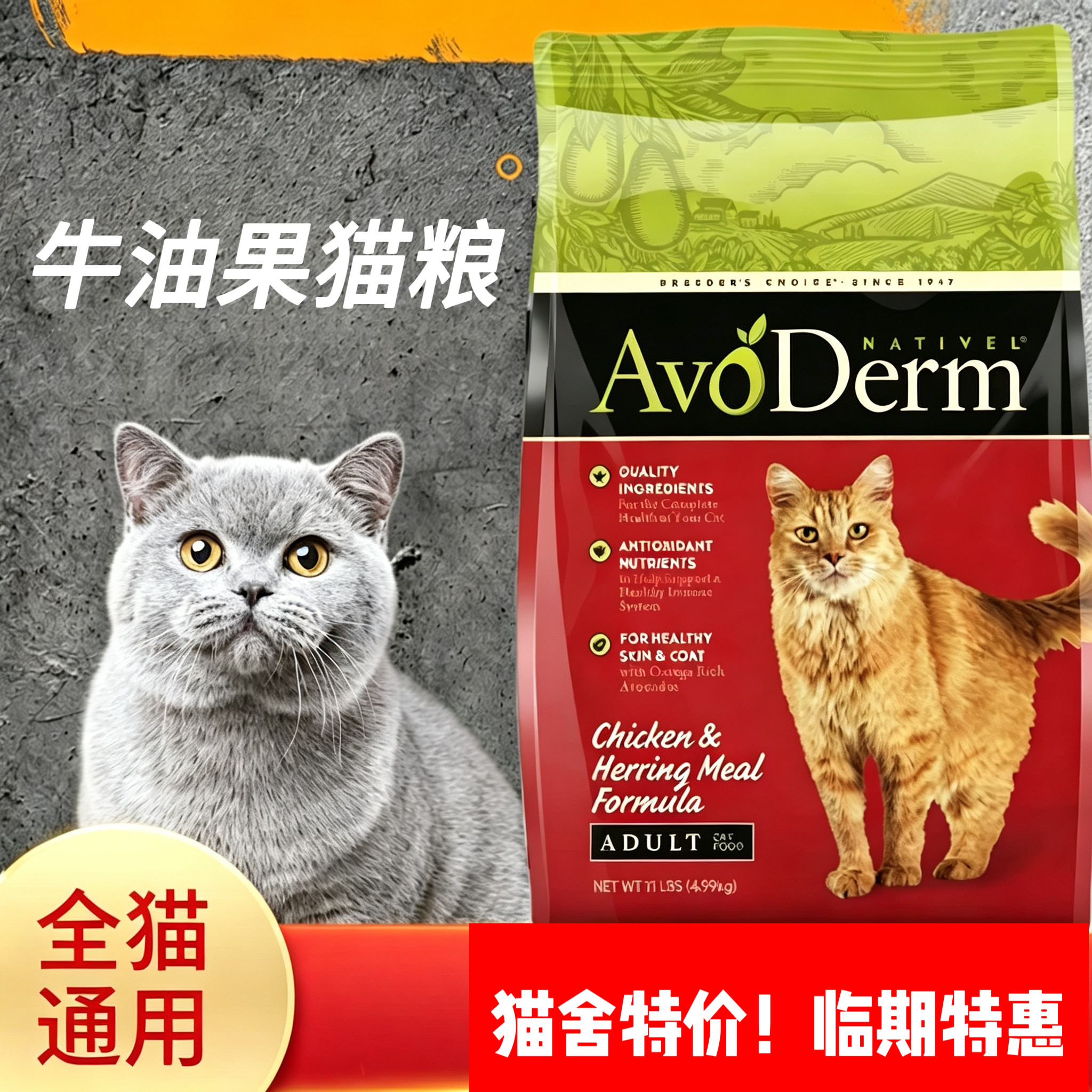 Avoderm nativel牛油果猫粮鸡肉鲱鱼三文鱼口味全期11磅