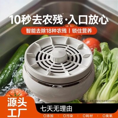 果蔬清洗机水果蔬菜清洗机果蔬食材净化洗菜器消毒去除农残留家园