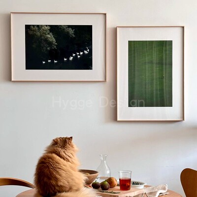 现代北欧风绿色系列松弛感客厅挂画草地森林白色飞鸟卧室装饰摆画