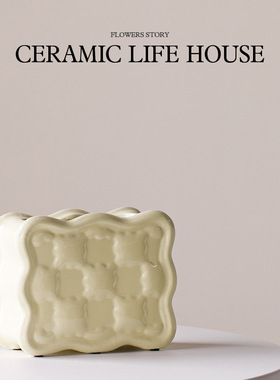 奶油风简约陶瓷花瓶插花摆件感小众客厅家居装饰花瓶陶瓷花器