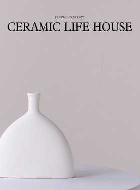 北欧轻奢花瓶插花摆件感小众磨砂素烧陶瓷花瓶客厅家居装饰
