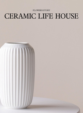 现代简约陶瓷花瓶插花摆件感小众客厅摆设轻奢花盆家居装饰