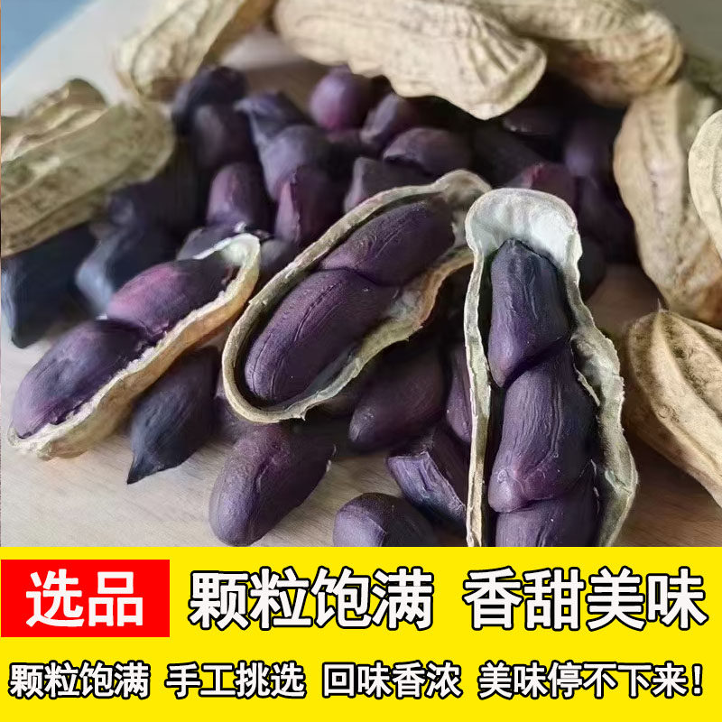 新鲜黑花生 味甜云南富硒黑花生 正宗带壳花生种子普洱黑皮花生米