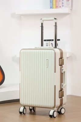 丹尼袋鼠新款拉杆箱万向轮行李箱24寸旅行箱男女密码箱