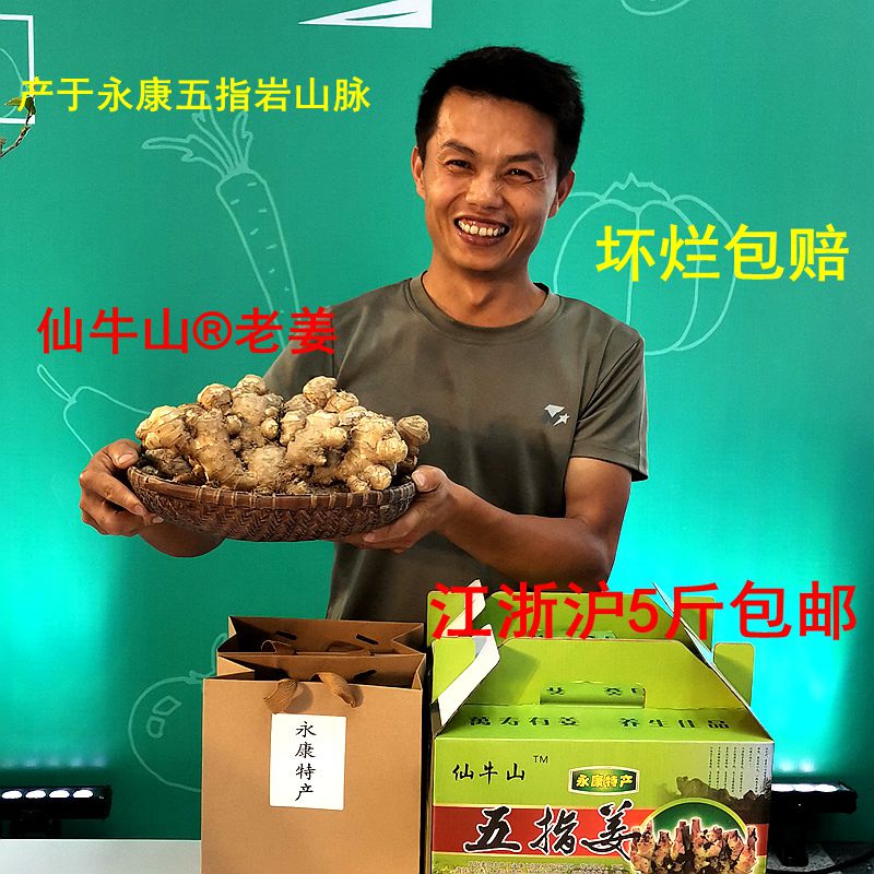 浙江永康仙牛山老姜五指岩生姜黄姜月子姜小黄姜山洞姜