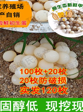 【100枚送20枚】农家新鲜食用甲鱼蛋宝宝辅食营养美味老鳖蛋