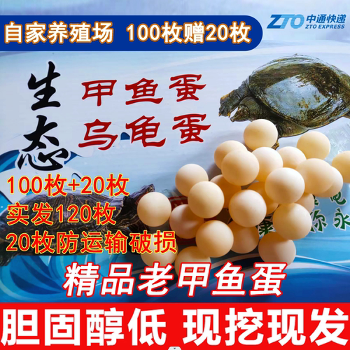 精品老甲鱼蛋【100枚送20枚】农家新鲜食用甲鱼蛋宝宝辅食营养