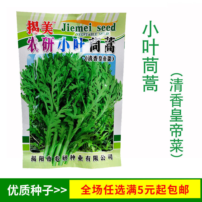 小叶茼蒿种子清爽火锅菜孑皇帝菜籽四季播种阳台盆栽菜园蔬菜种子,鲜花速递/花卉仿真/绿植园艺,家庭园艺种子,淘宝优惠券,粉丝福利购,淘宝优惠卷