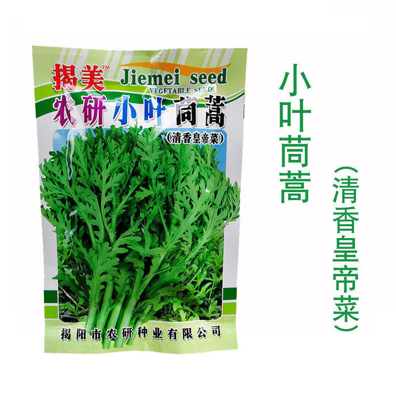 小叶茼蒿种子清爽火锅菜孑皇帝菜籽四季播种阳台盆栽菜园蔬菜种子,鲜花速递/花卉仿真/绿植园艺,家庭园艺种子,淘宝优惠券,粉丝福利购,淘宝优惠卷