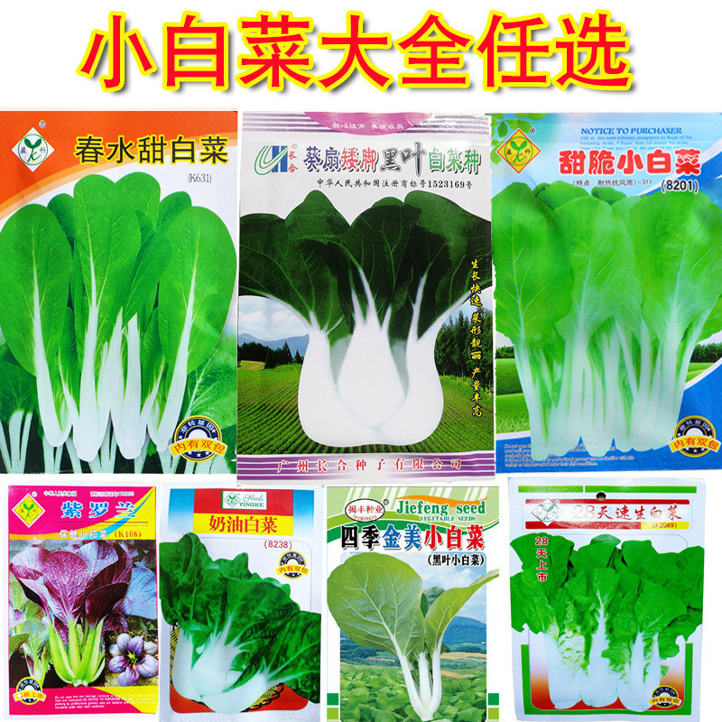 四季小白菜种子大全鸡毛菜小青菜籽孑了矮脚黑叶青梗蔬菜秋冬抗寒,鲜花速递/花卉仿真/绿植园艺,家庭园艺种子,淘宝优惠券,粉丝福利购,淘宝优惠卷