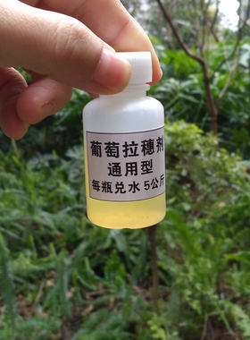 通用型葡萄拉穗剂拉花剂 拉长花序免人工梳果 巨峰夏黑藤稔醉金香