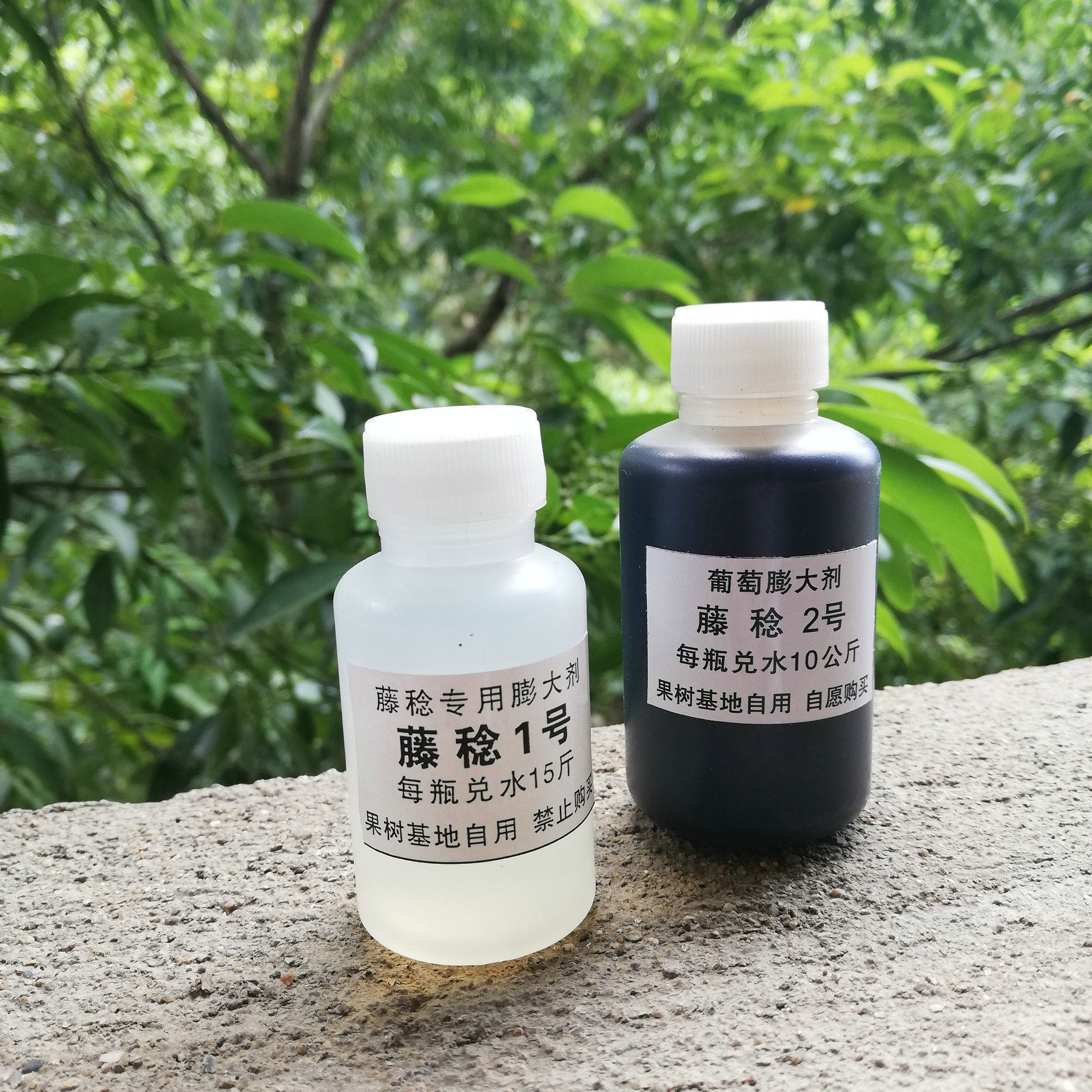 藤稔葡萄膨大剂膨大素叶面肥1 2号套装 软梗保果膨大促早熟不裂果