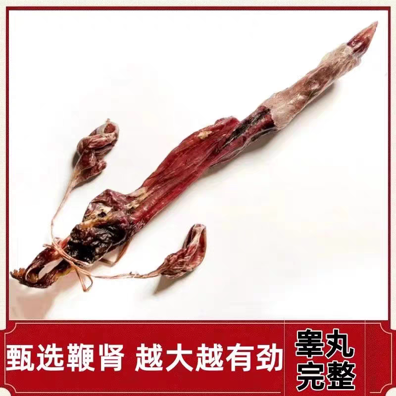 正品中药材海肾狗鞭带睾丸适用男养生大补入药优质煲汤泡酒料整根