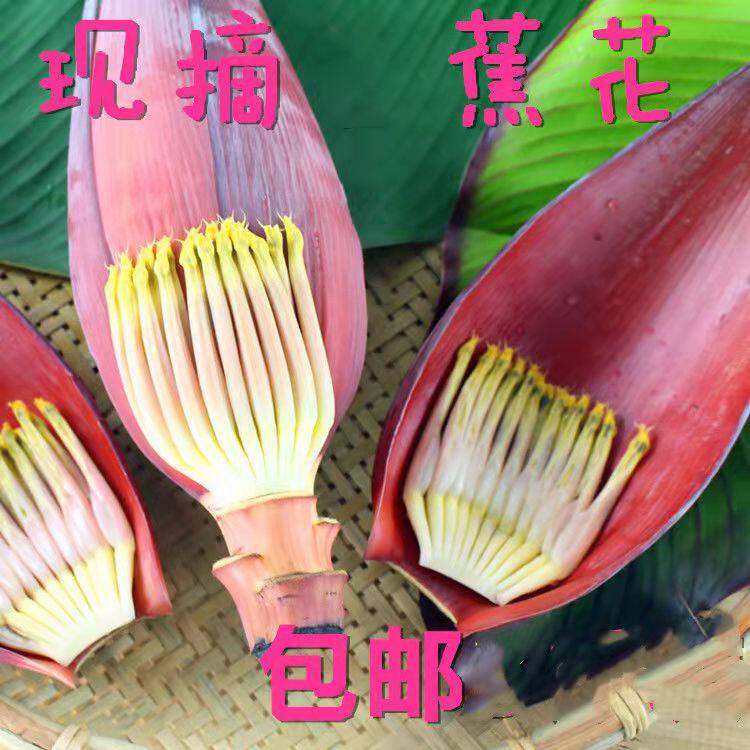 现摘广东野生芭蕉花新鲜香蕉花苞药用炖汤药材巴蕉蕾食用农家特产
