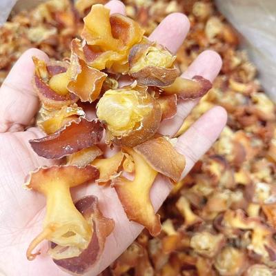 斯诺德响螺头煲汤材料港式螺片海鲜干货海螺片响螺肉红螺头滋补