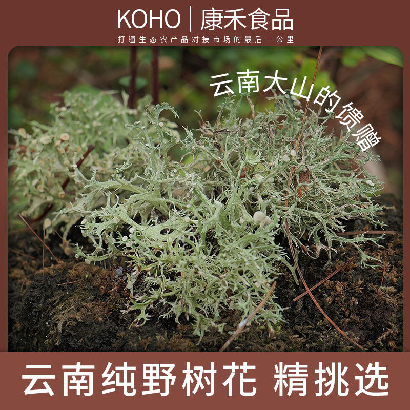 云南树花菜特产干货深山大自然纯野美味食材凉拌菜思茅菜