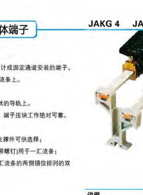 上海雷普L/N/PE连接体端子JAK4 JAK16 JAG35灰色尼龙