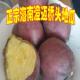 圆果现挖海南澄迈桥头地瓜富硒沙地新鲜红薯农家桥沙板栗小香番薯