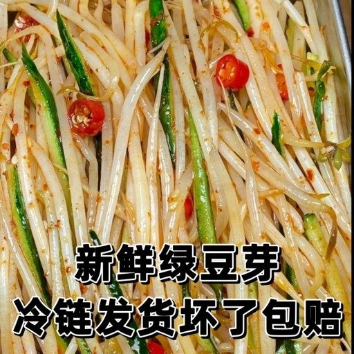 长豆芽绿豆 发豆芽绿豆  长绿豆芽 发绿豆芽  小绿豆专用芽豆