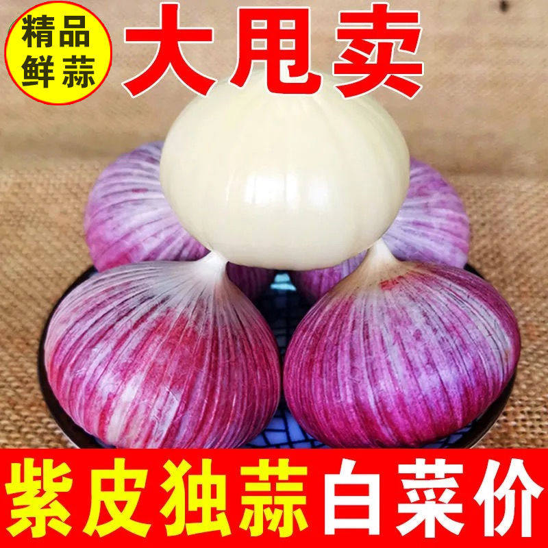 特价云南子紫皮独大蒜新鲜干大蒜头紫皮独蒜头紫皮蒜10斤包邮