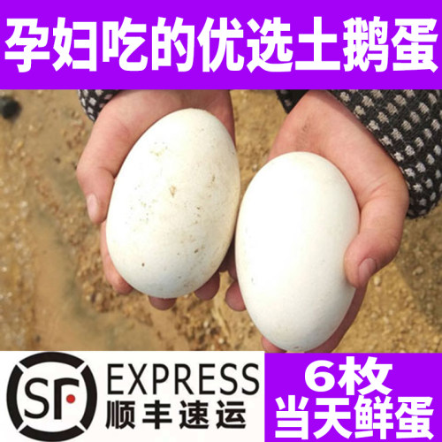 140-160克12枚鹅蛋新鲜农家散养孕妇纯去胎毒土鹅蛋大超大个包邮