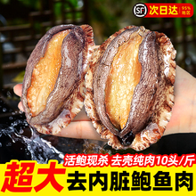 鲍鱼肉鲜活冷冻去牙去壳新鲜活鲍现剥去内脏火锅食材500g海鲜水产