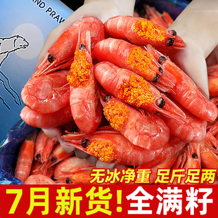 北极甜虾北极熊北极虾刺身头籽腹籽特大号冰虾新鲜冷冻即食旗舰店