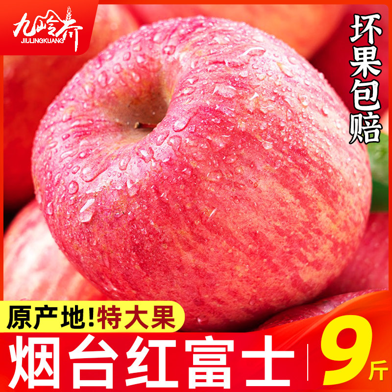 正宗山东烟台红富士苹果一级新鲜水果栖霞当季整箱脆甜冰糖心10斤,水产肉类/新鲜蔬果/熟食,苹果,淘宝优惠券,粉丝福利购,淘宝优惠卷