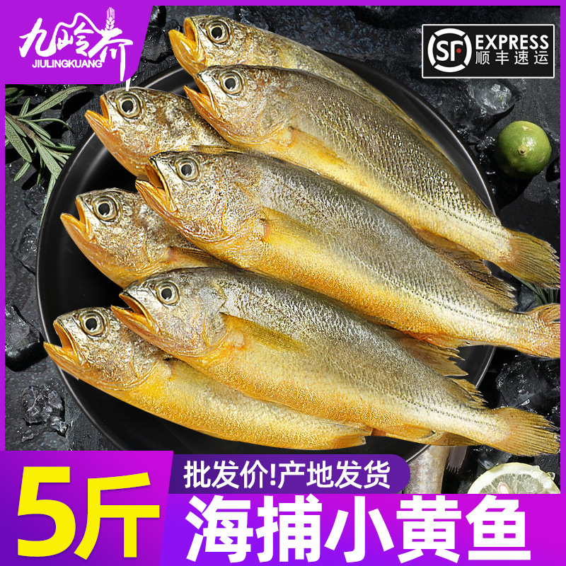 新鲜小黄花速冻烧烤食材整箱批发