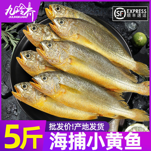 新鲜小黄花速冻烧烤食材整箱批发
