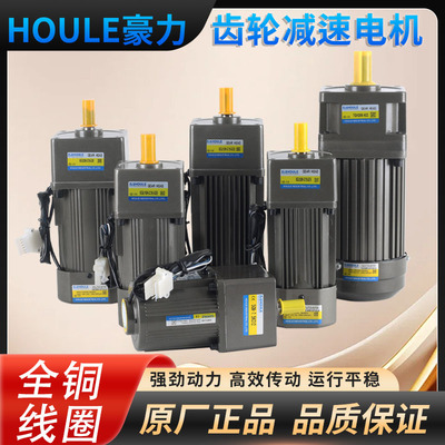 豪力调速减速电机可调变速马达