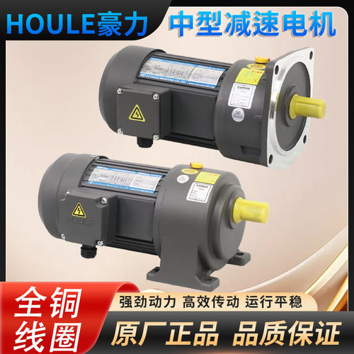HOULE豪力 中型齿轮减速电机 卧式立式三相220V/380V小金刚