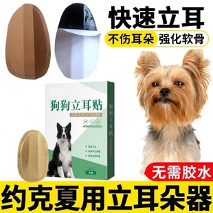 雪纳瑞立耳神器狗狗专用耳朵立耳器小狗立耳贴幼犬辅助竖耳器