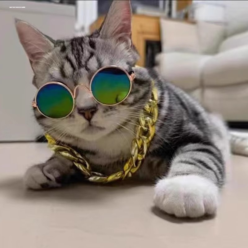 猫眼镜狗狗墨镜小型网红宠物猫太阳镜拍照猫宠物搞怪装饰道具猫