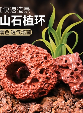 水草定植环红色黑色水草种植环小块大块火山石环水草沉底固定