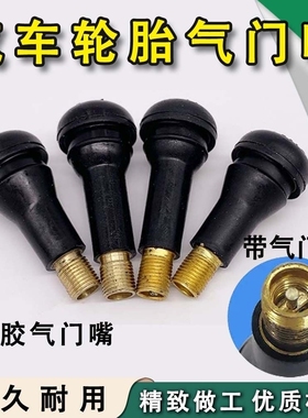 汽车真空胎气门嘴摩托车电动车轮胎车胎气门PVR50直嘴轮胎气嘴芯