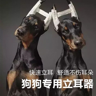 德牧杜宾犬立耳棒绑耳黑狼雪纳瑞竖耳器柔软泡沫胶布宠物幼犬立耳