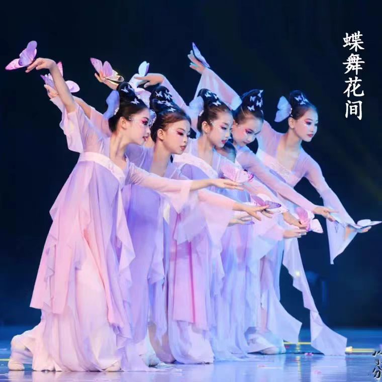 女儿童古典舞蝶舞花间蝴蝶道具