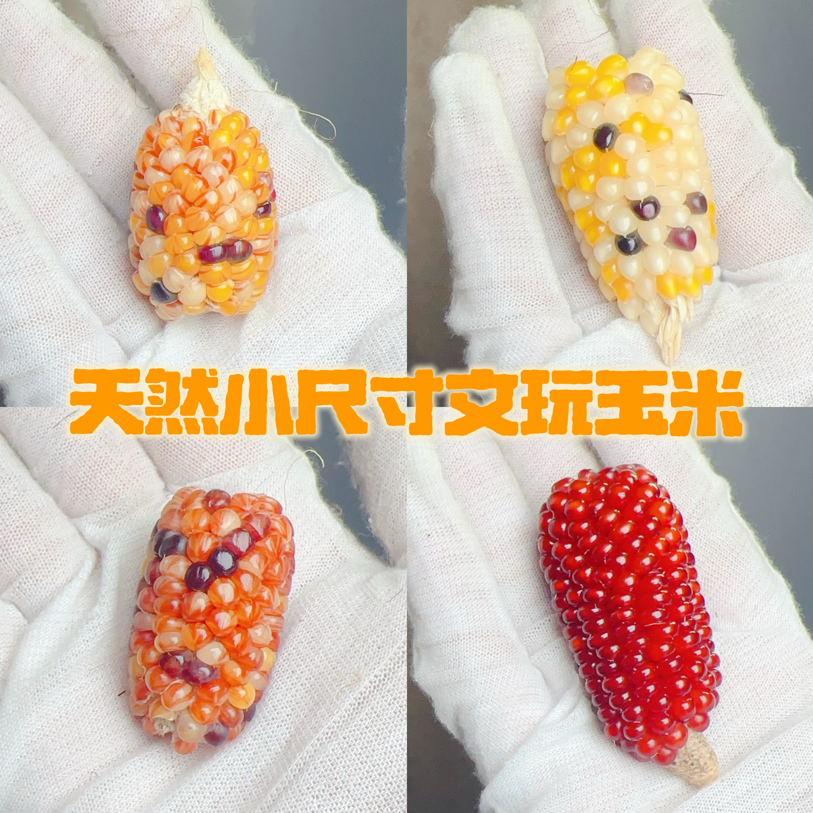 文玩玉米毛料小玉米手把件迷你小把件七彩玻璃宝石血丝小玉米种子