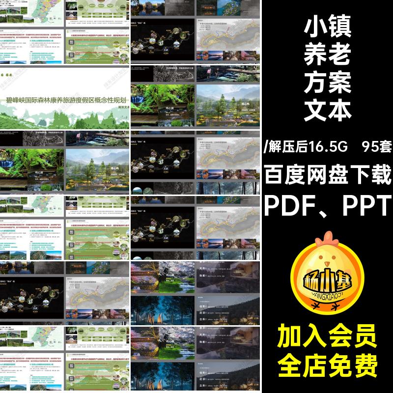 养老康养方案文本PDF PPT设计方案学街内海有社区度假旅游95套