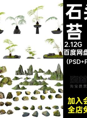 13组花镜地被源文件阳装室园林景观根苔藓psd蕨类扣石头素材免