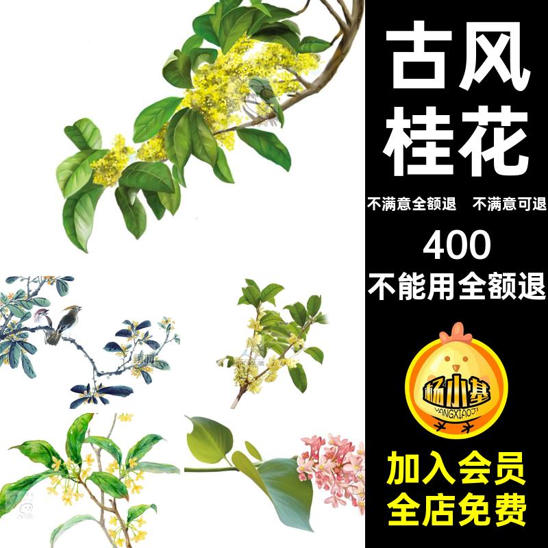 水彩手绘桂花中国古风中秋唯美装饰免抠png透明背景ps设计素材