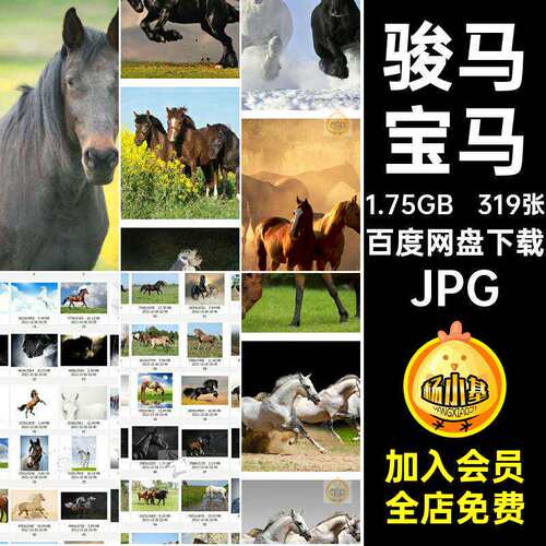 宝马合成JPG动物喷绘生物奔跑骏马319张高清骏马图片的美工