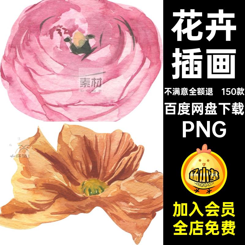 鲜花植物PNG宫廷手绘复古免图片款5花卉150款抠插画绘画水彩款