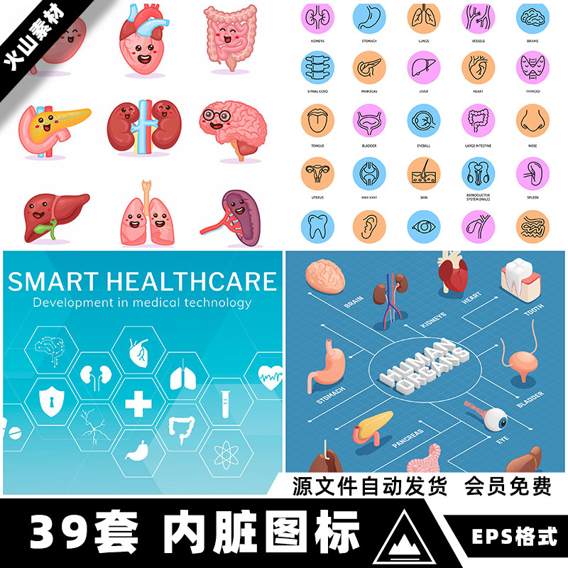 矢量ai卡通人体医疗医学解剖内脏icon五脏器官图标插画设计素材图