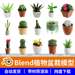 仙人球芦荟模型植物blender材质贴图工程带卡通Blend植物盆栽模型