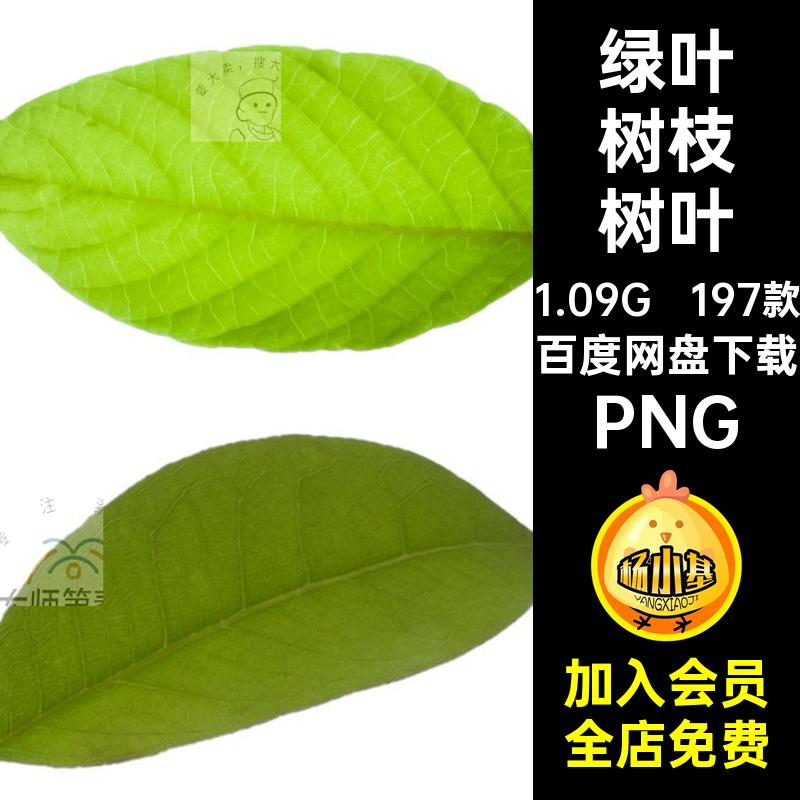 树叶子前景后期合成绿叶PNG免抠图片叠加197款树枝绿叶树枝树叶