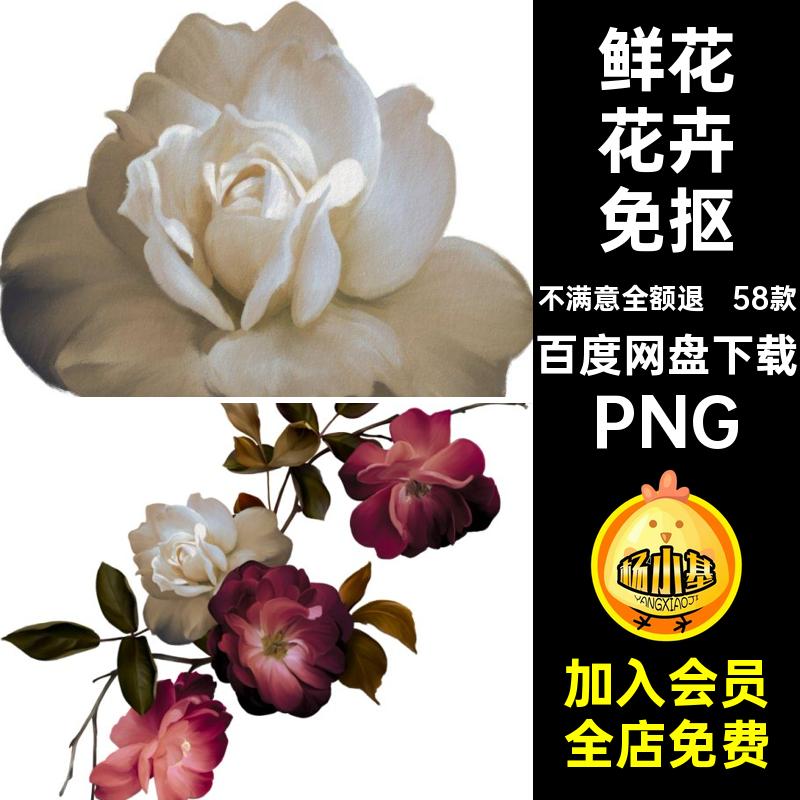 58款装饰花卉免抠插画插图优雅插花油画PNG玫瑰图片素材背景鲜花