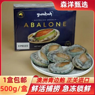 澳洲大鲍鱼海鲜水产特大超大进口青边鲍特大鲍鱼刺身品质年货礼盒