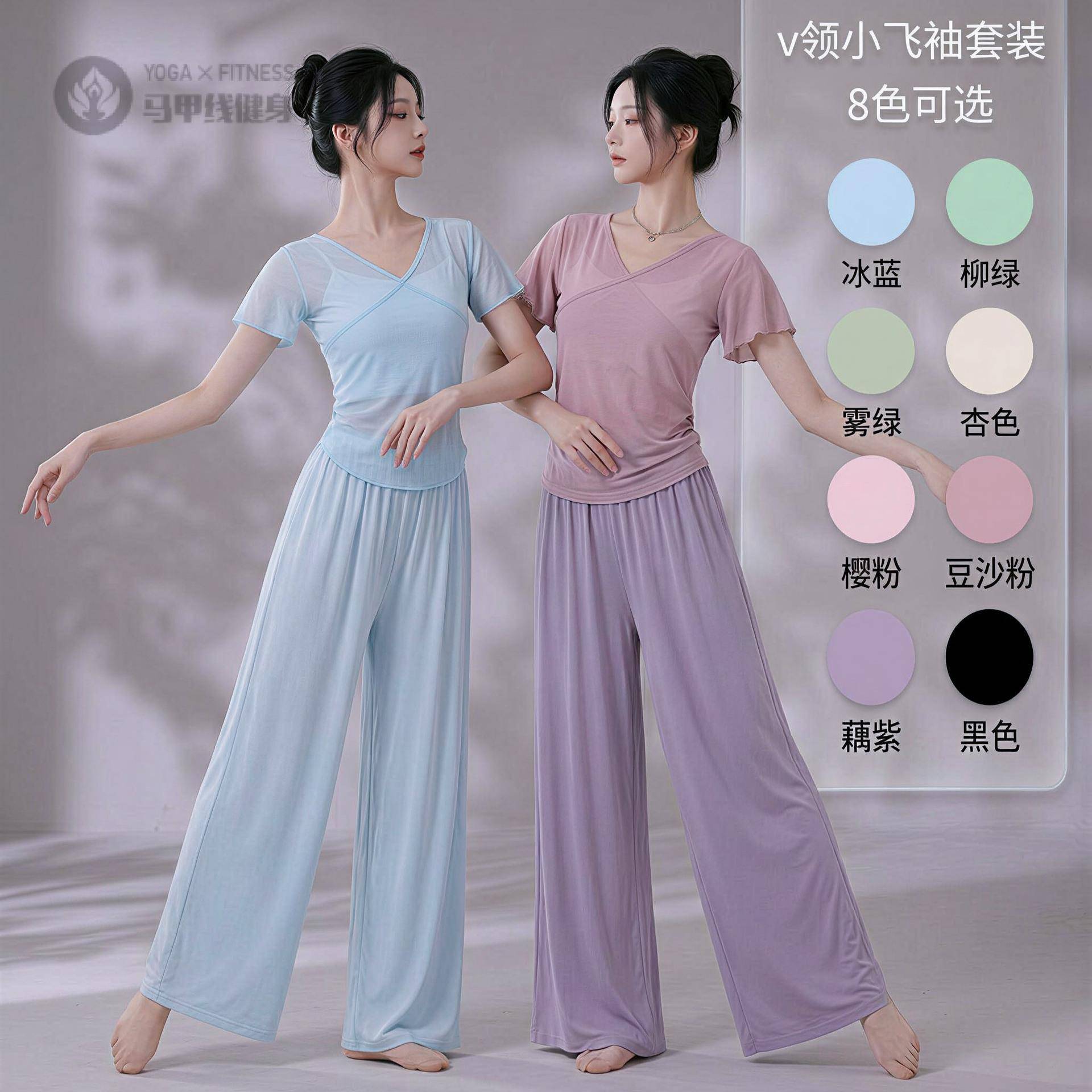 舞蹈服女成人弹力网纱小飞袖仙气
